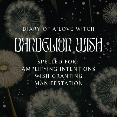 Dandelion Wish