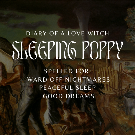 Sleeping Poppy ✦ Limited Edition (until 12/4)