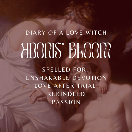 Adonis' Bloom